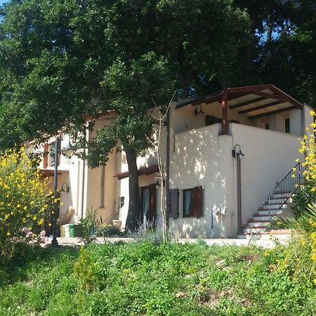 Le Querce Bed & Breakfast Ancona Dış mekan fotoğraf
