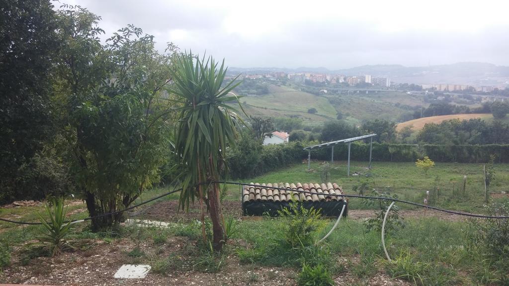 Le Querce Bed & Breakfast Ancona Dış mekan fotoğraf
