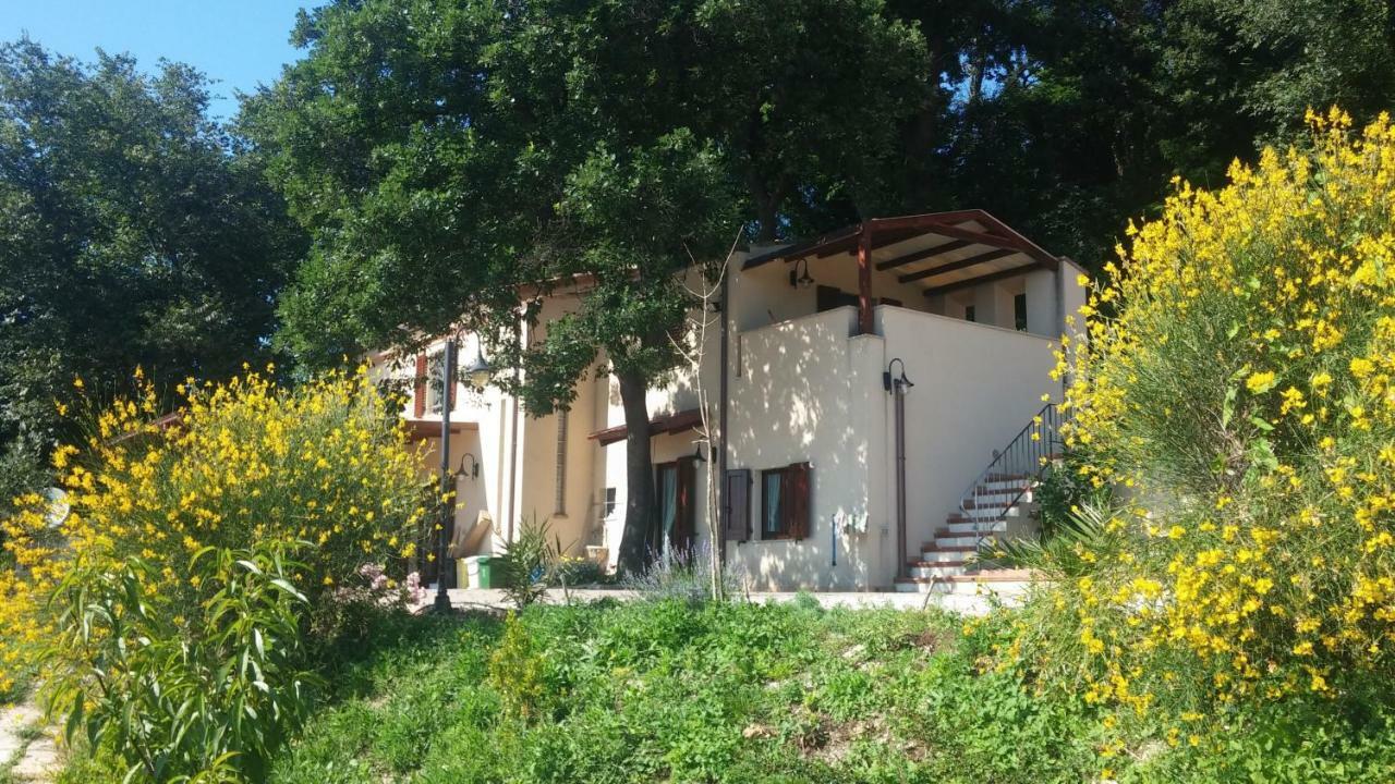 Le Querce Bed & Breakfast Ancona Dış mekan fotoğraf